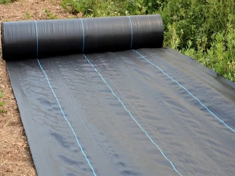 Tongfu Eco-Materials bringt leistungsstarkes, biologisch abbaubares Unkrautschutzgewebe auf den Markt