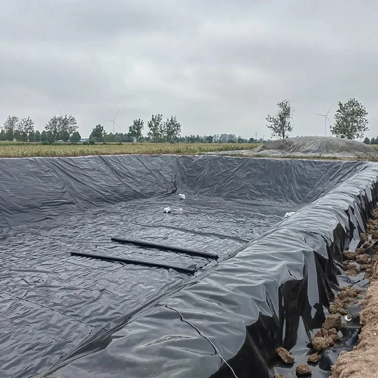 Geomembran für Biogasfermenter