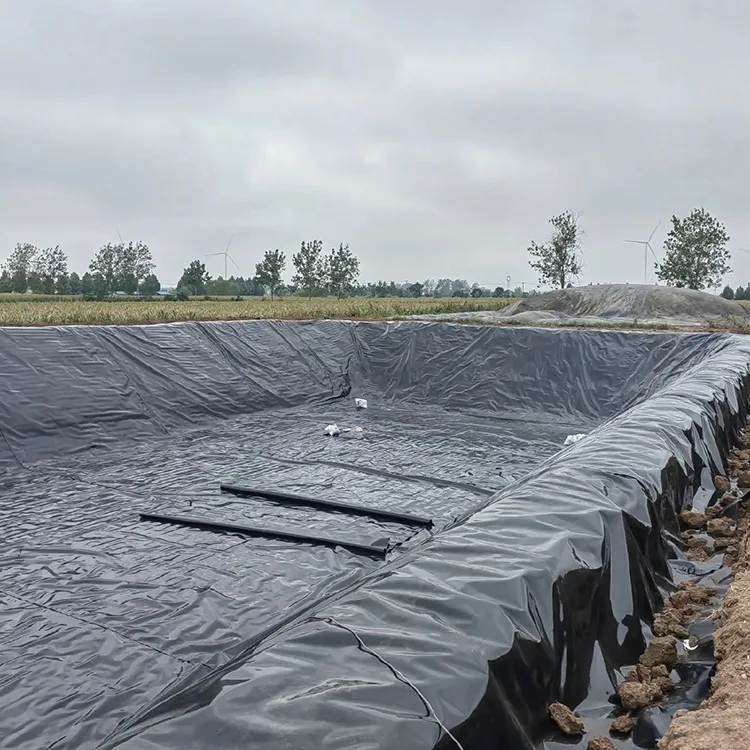 Geomembranfolie für Fischteiche
